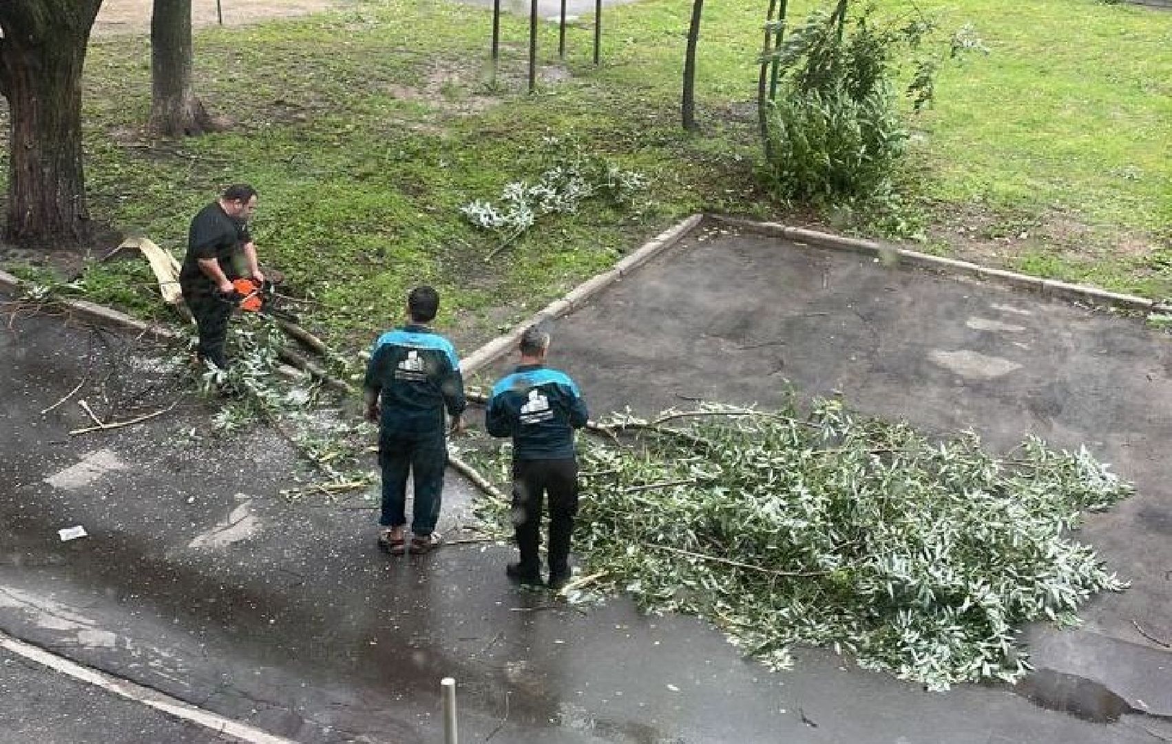 Реутов, непогода, ураган, дождь, деревья,