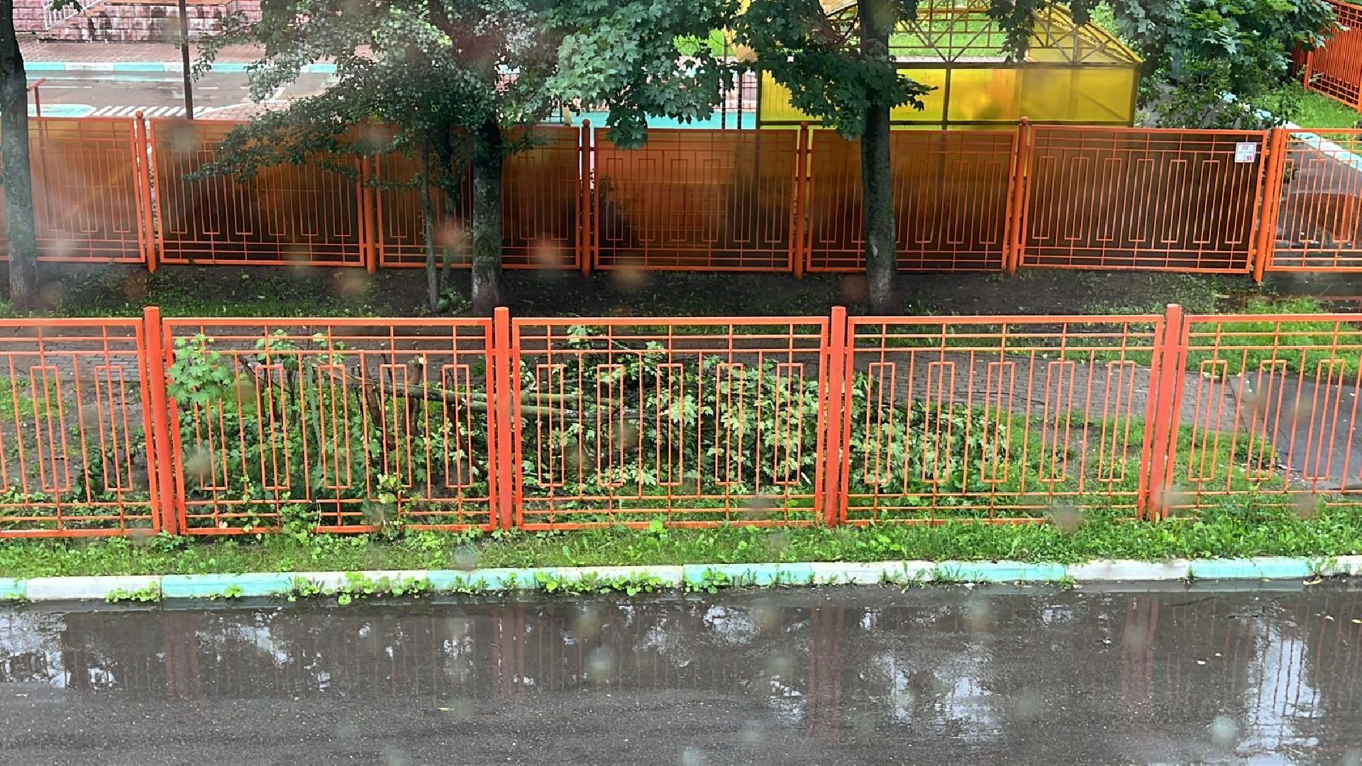 Реутов, непогода, ураган, дождь, деревья,