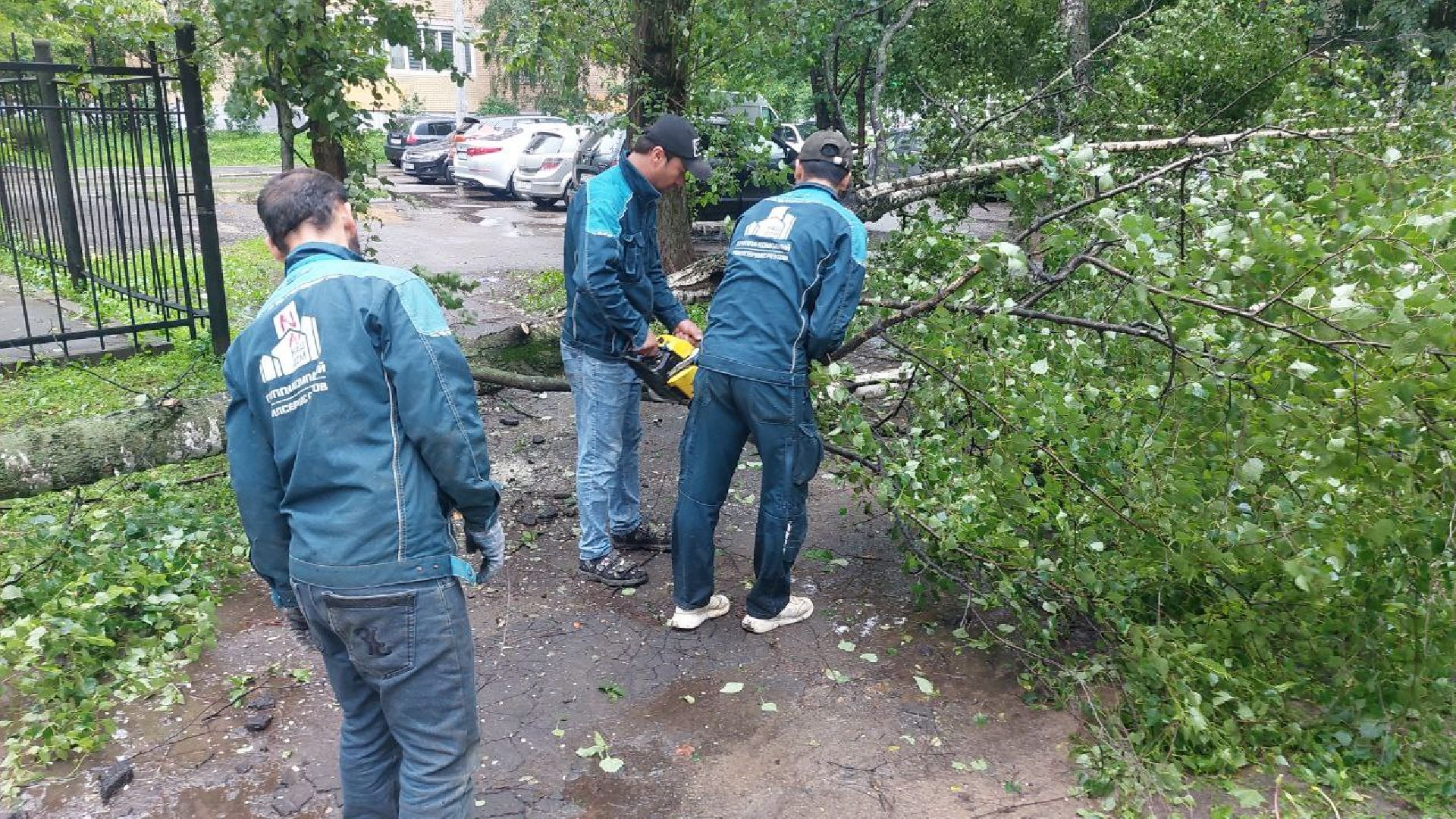 Реутов, непогода, ураган, дождь, деревья,