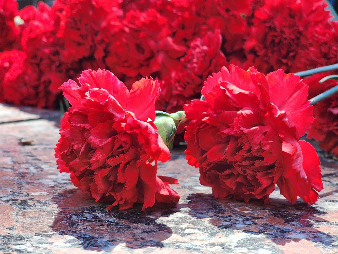 день памяти и скорби, 22 июня, вов, великая отечественная война, руза, рузский городской округ, ветеран вов,