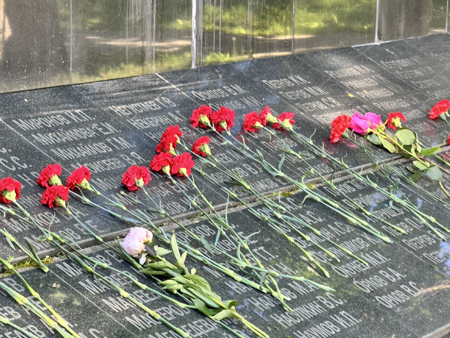 шаховская, день памяти и скорби, музей, памятная дата,