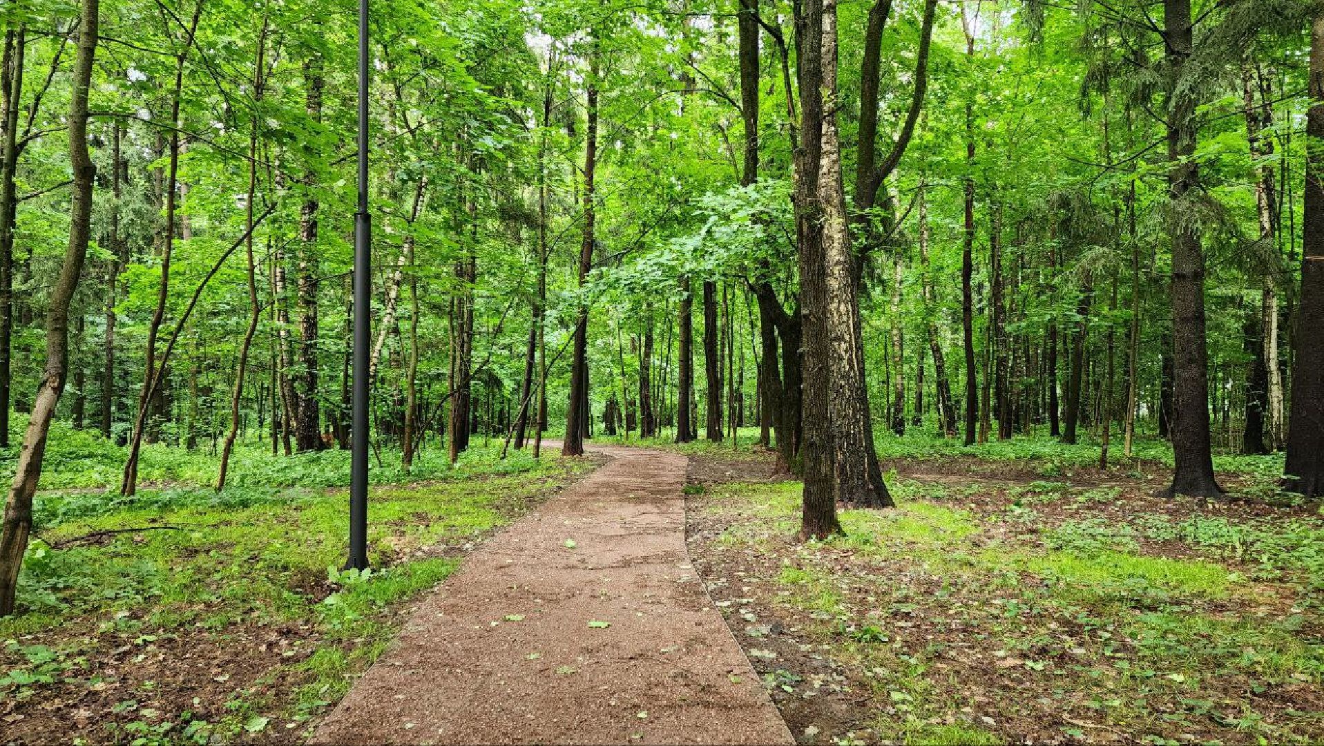 Солнечногорск, Ржавки, Активное долголетие,