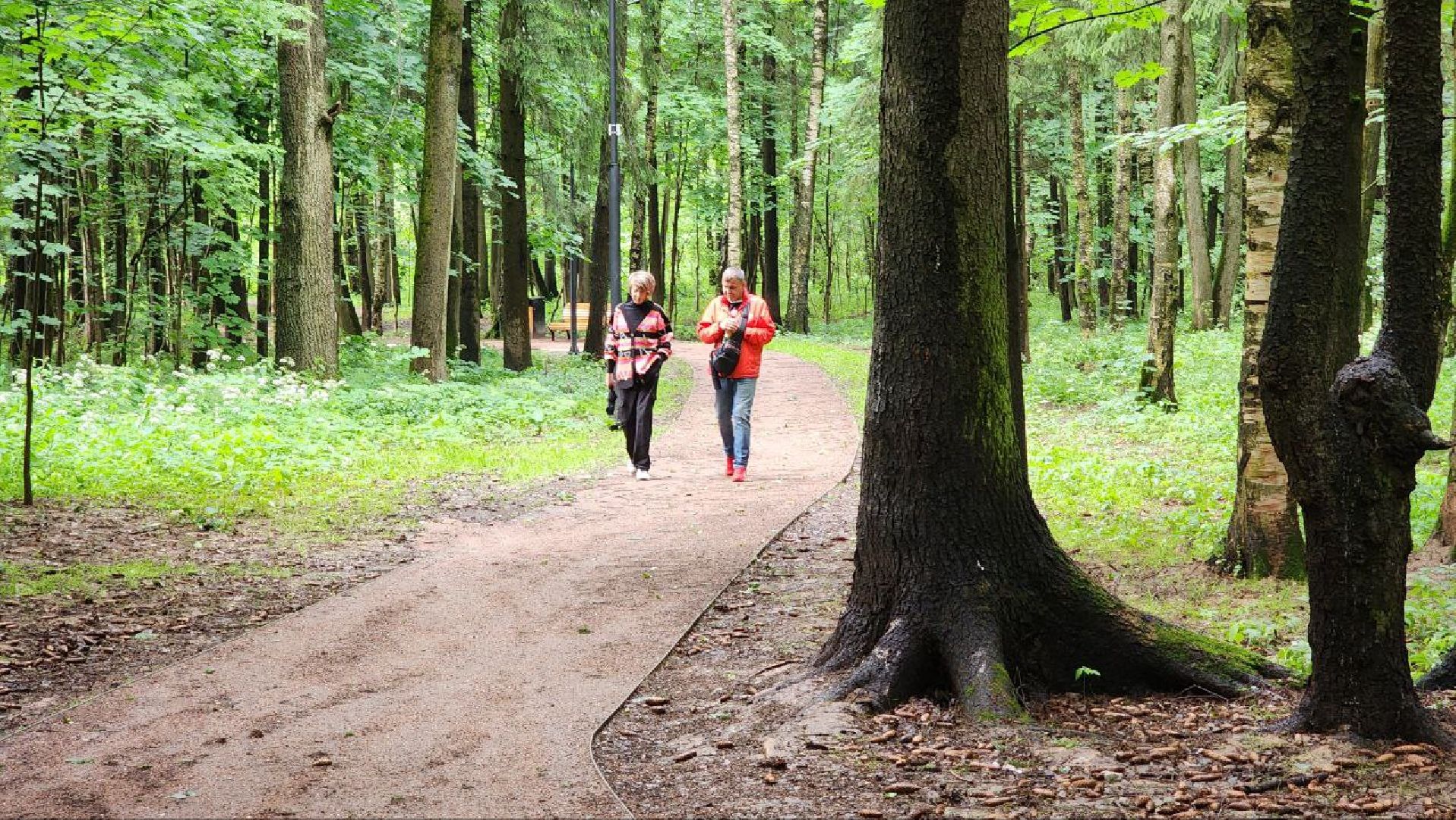 Солнечногорск, Ржавки, Активное долголетие,