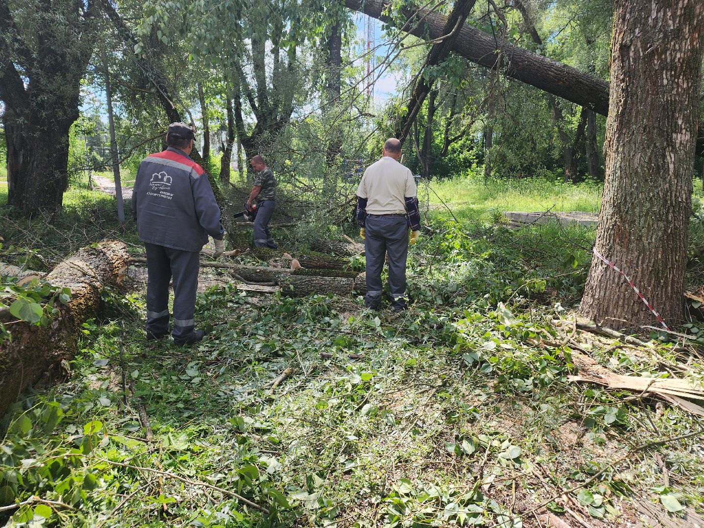 устранение последствий урагана, орехово-зуевский округ,