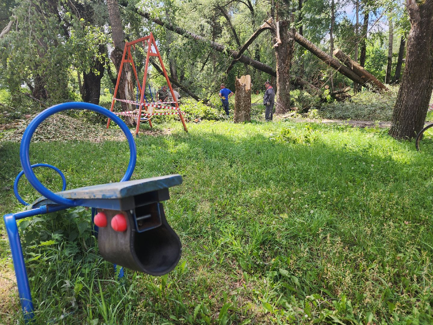 устранение последствий урагана, орехово-зуевский округ,