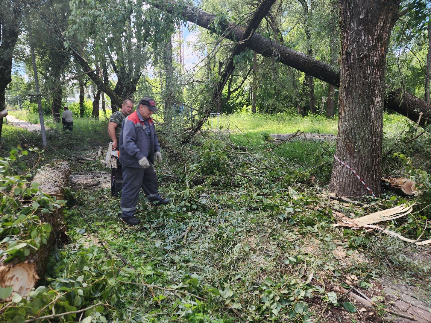 устранение последствий урагана, орехово-зуевский округ,