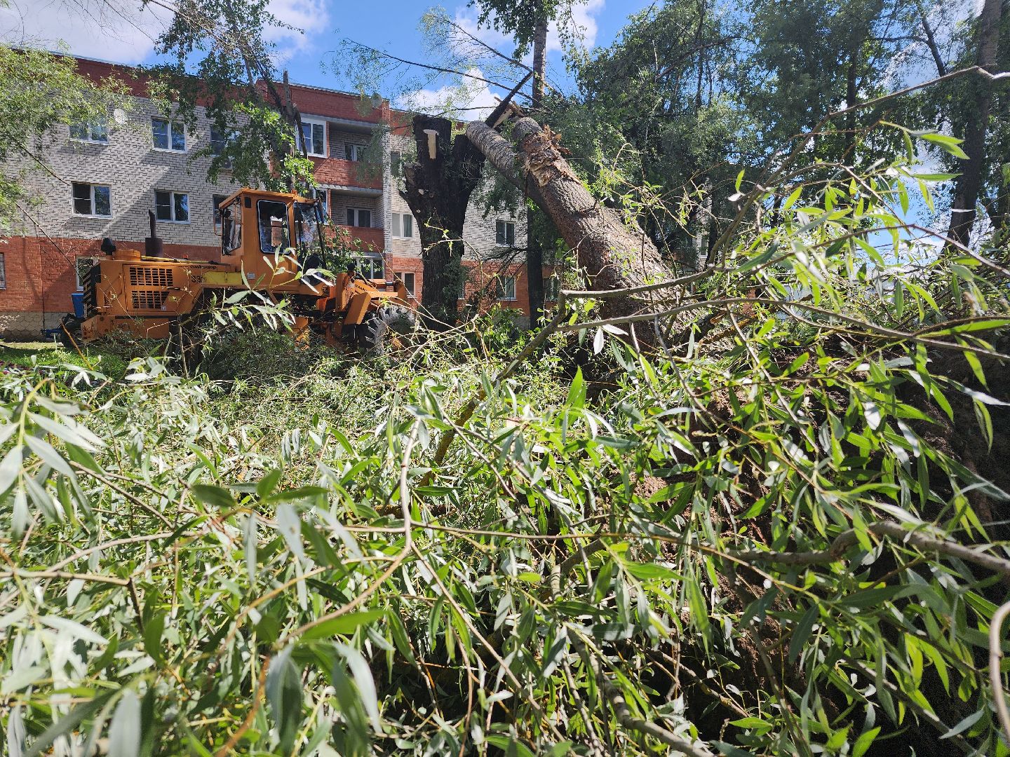 устранение последствий урагана, орехово-зуевский округ,