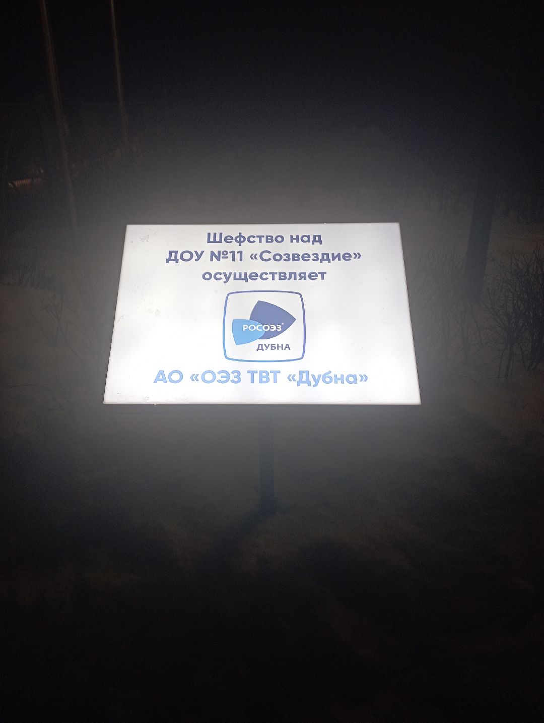 Дубна, общество