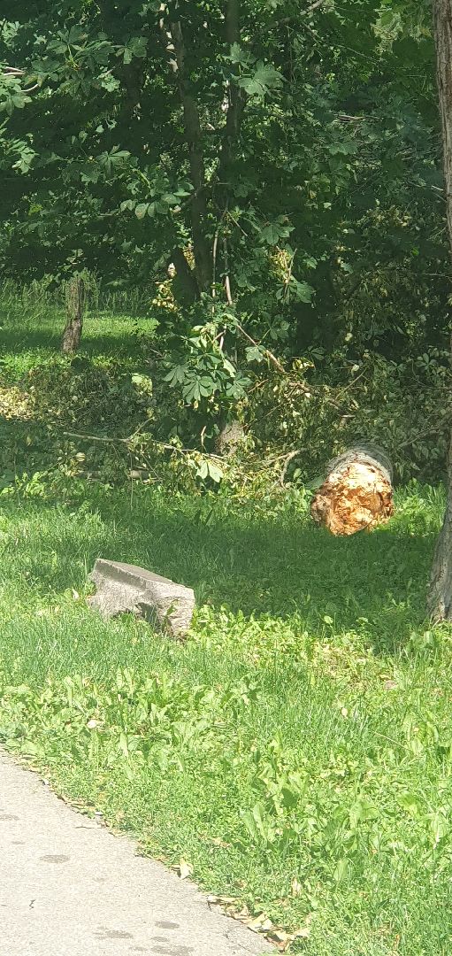 ураган, последствия непогоды, мытищи,