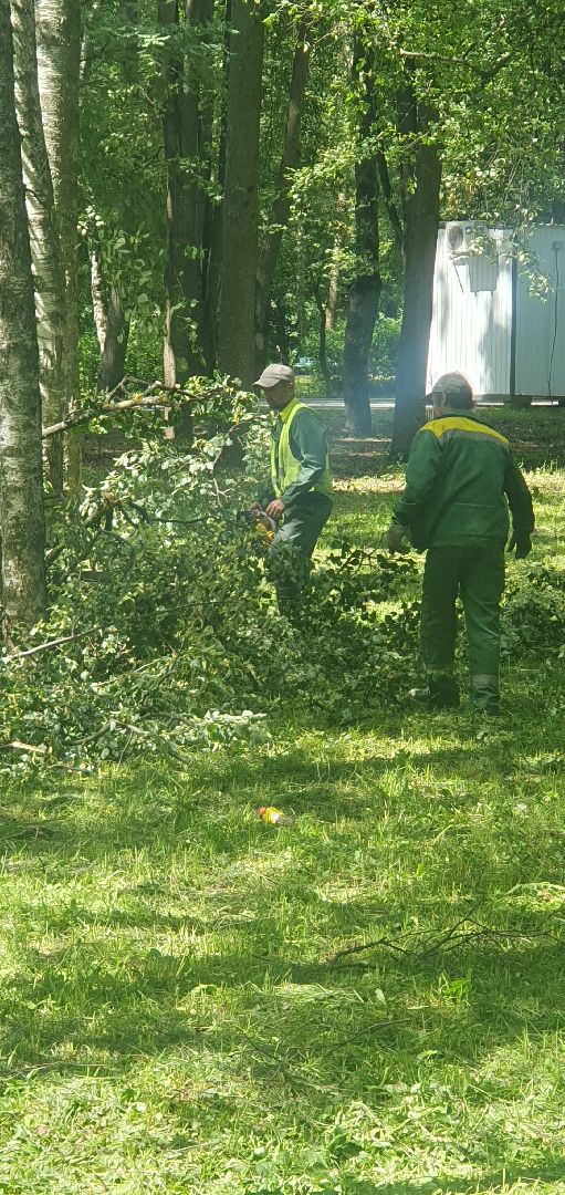 ураган, последствия непогоды, мытищи,