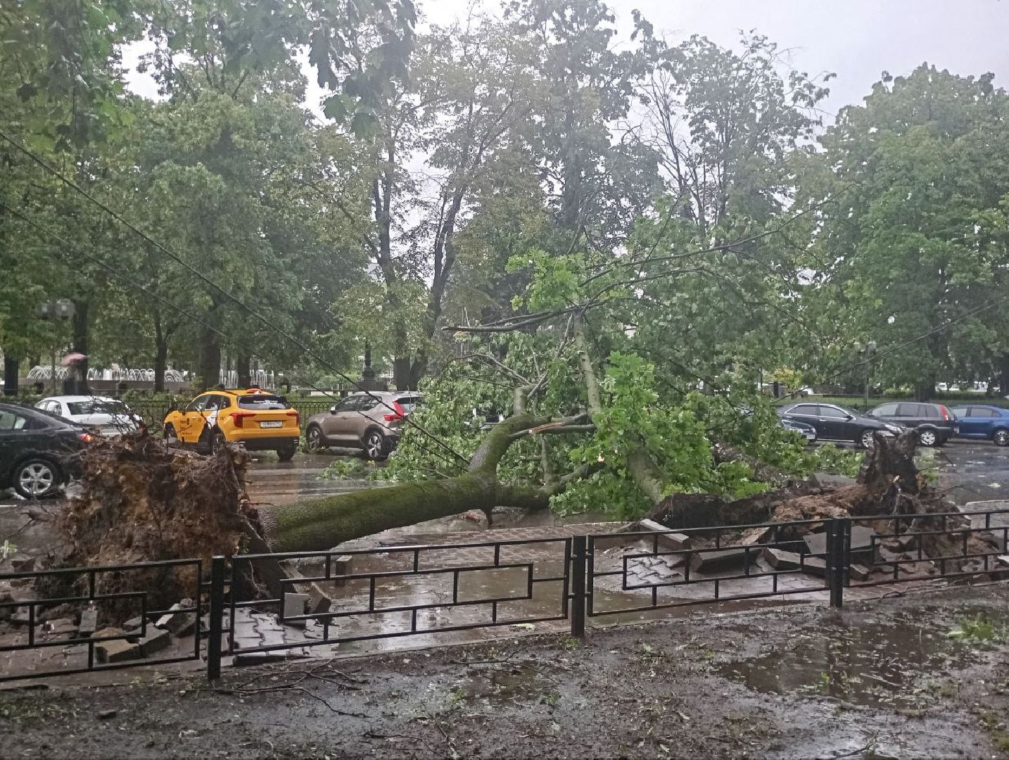 ураган, последствия непогоды, мытищи,