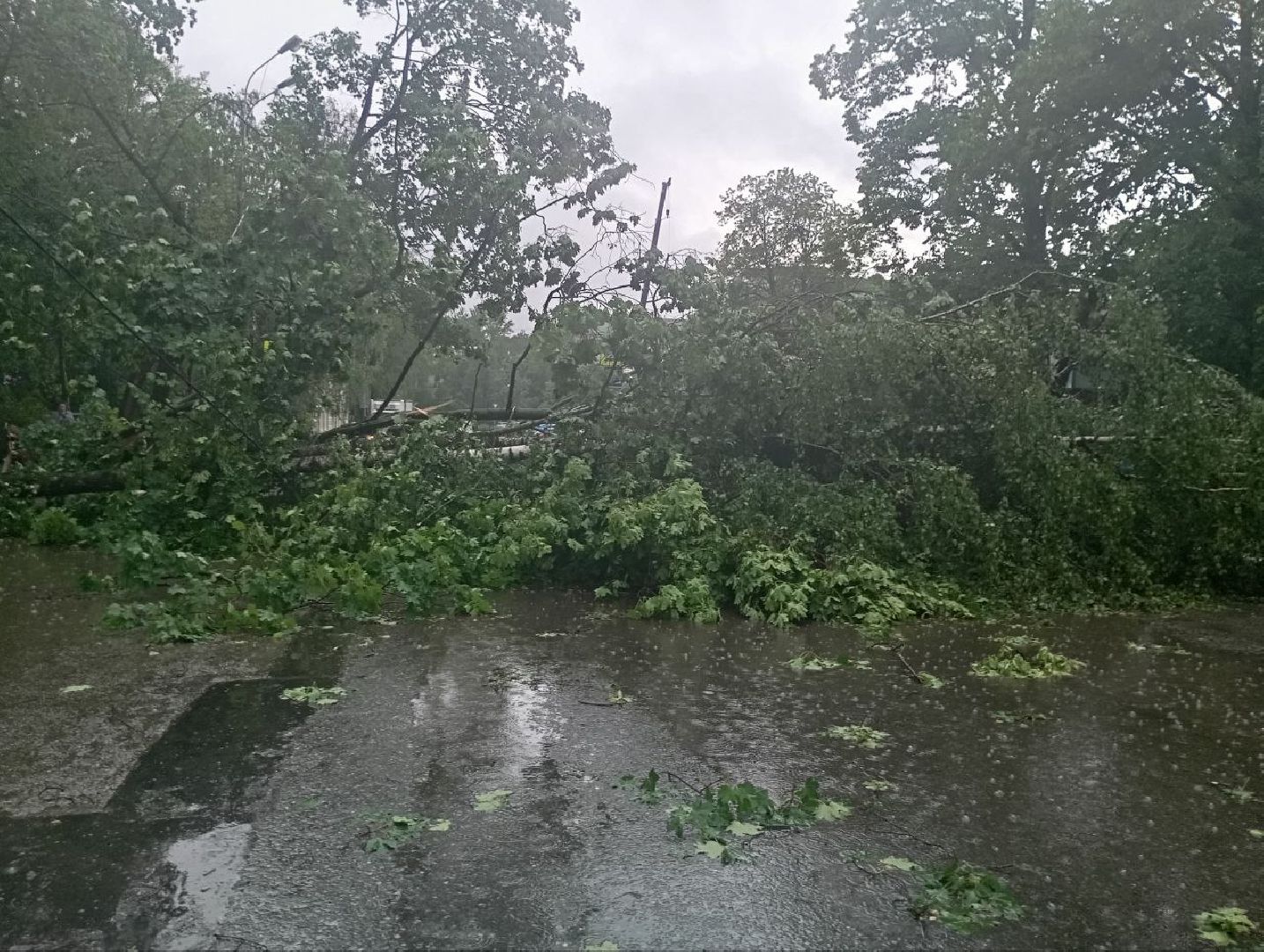 ураган, последствия непогоды, мытищи,