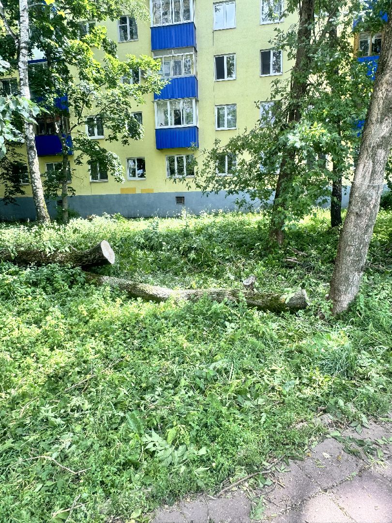 Солнечногорск, Последствия урагана, уборка детских площадок, спил деревьев, подтопление,