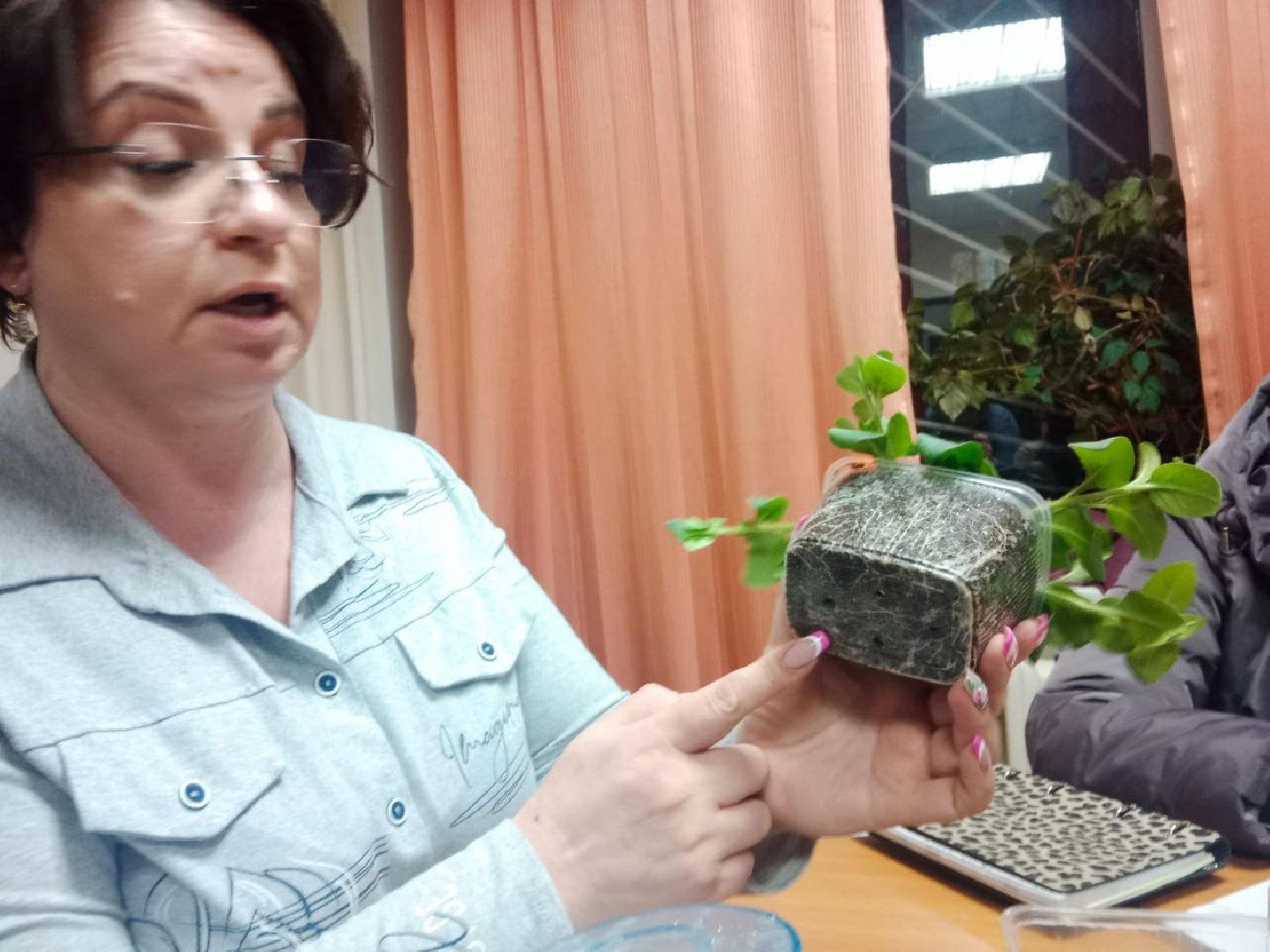 озеленение, город-сад, мастер-классы