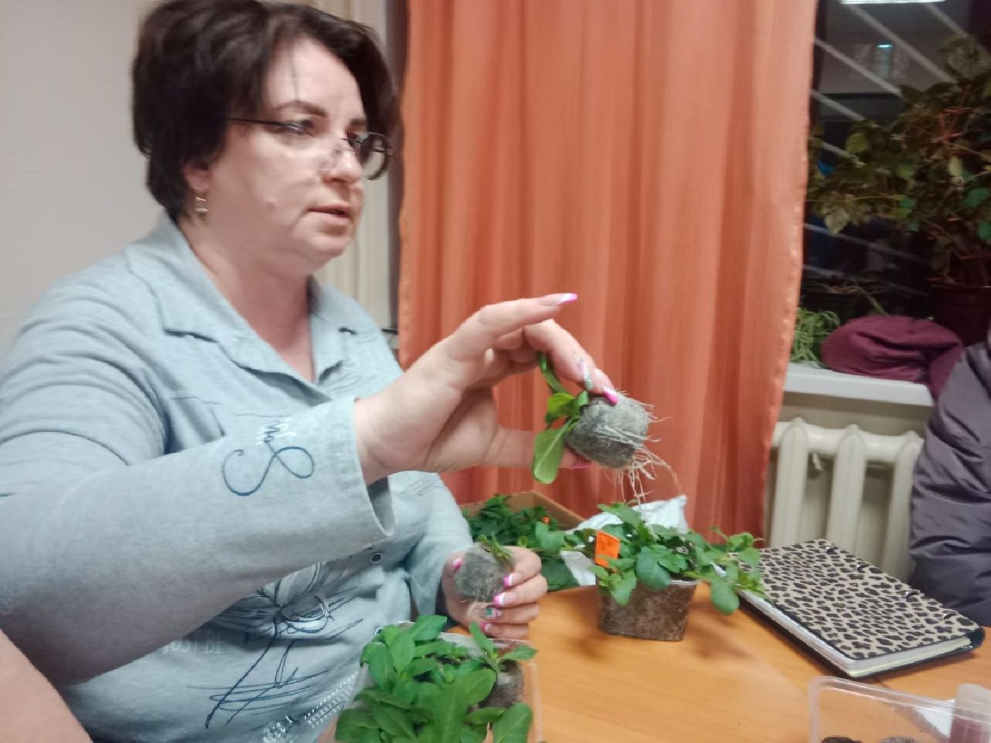 озеленение, город-сад, мастер-классы