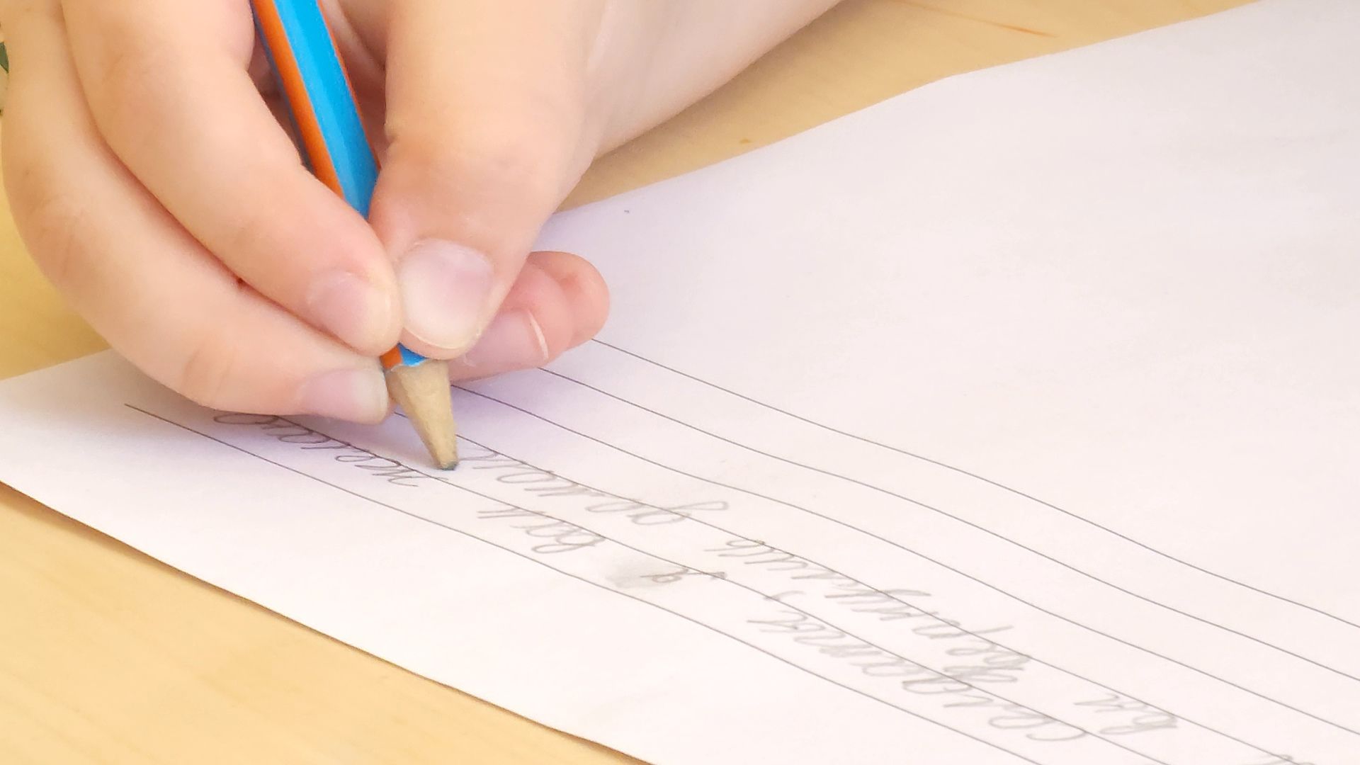 Одинцово, Лесной городок, школа, летний лагерь,