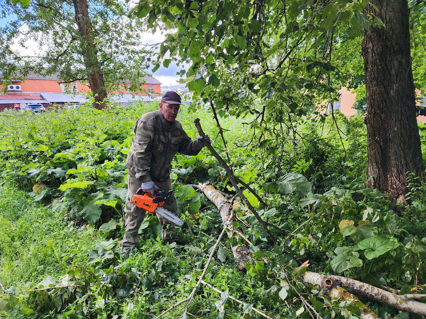 красноармейск, г.о. пушкинский, ураган эдгар, последствия урагана,