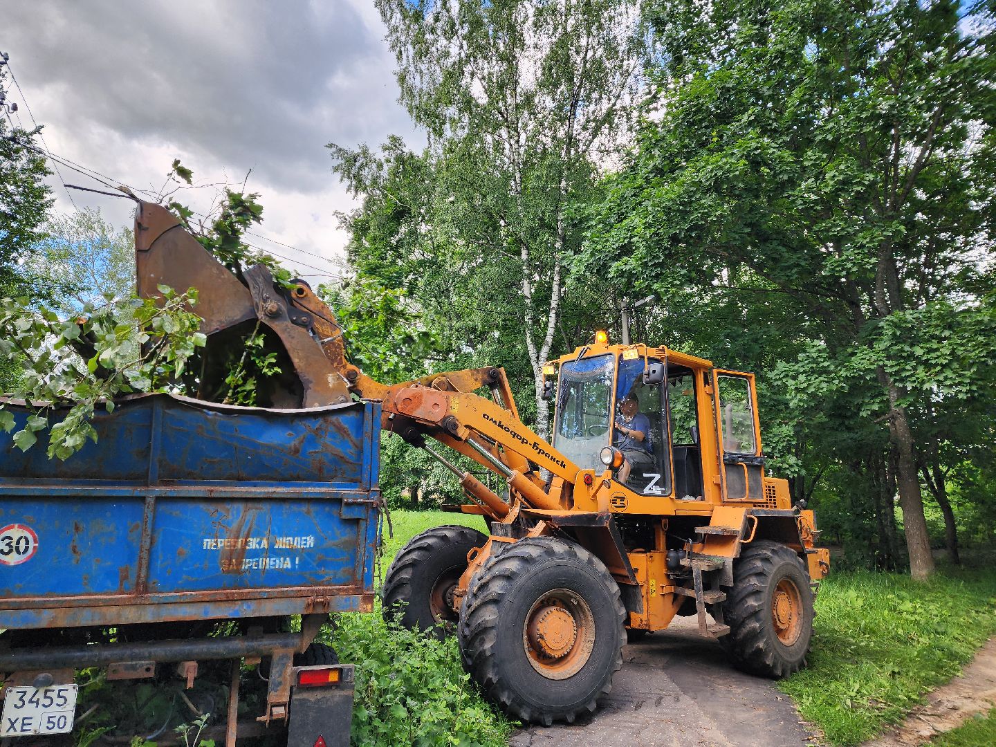 красноармейск, г.о. пушкинский, ураган эдгар, последствия урагана,