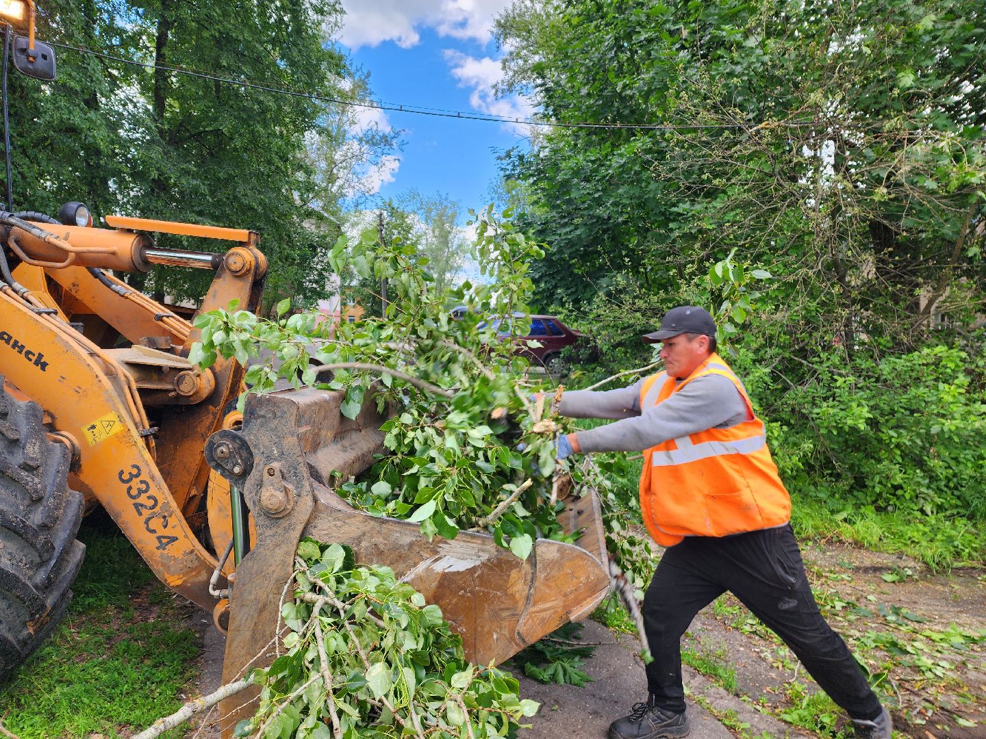 красноармейск, г.о. пушкинский, ураган эдгар, последствия урагана,