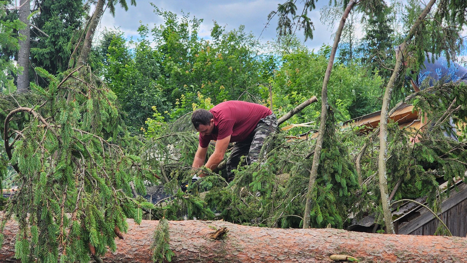 Солнечногорск, погода, стихия, ураган Эдгар,