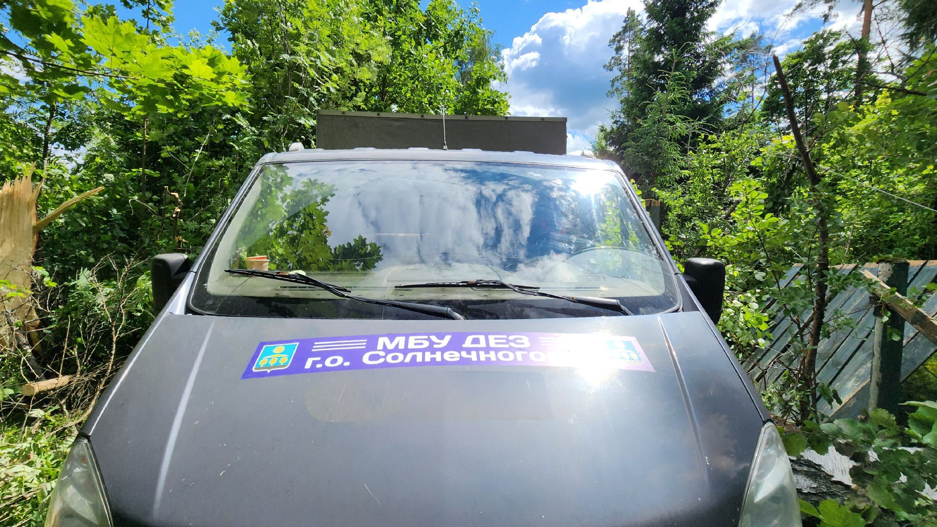 Солнечногорск, погода, стихия, ураган Эдгар,