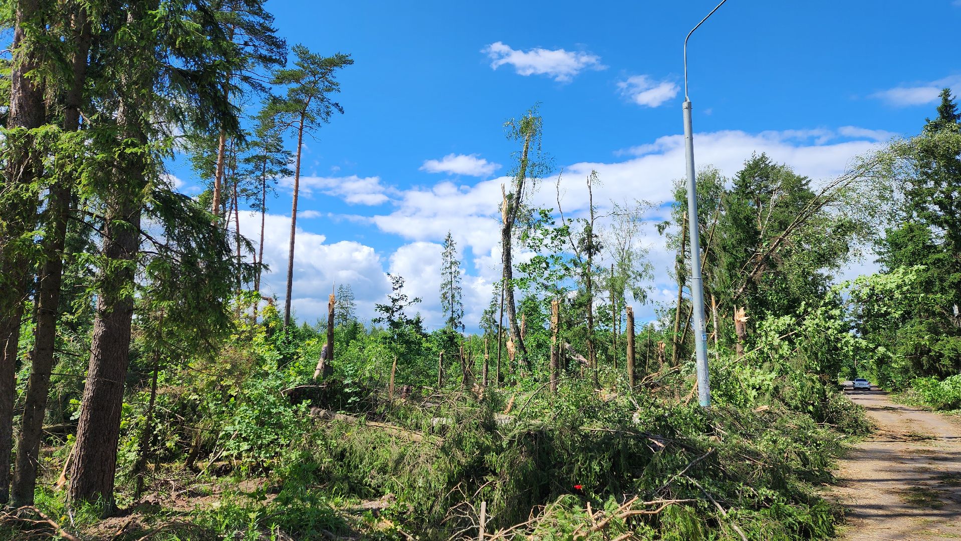 Солнечногорск, погода, стихия, ураган Эдгар,