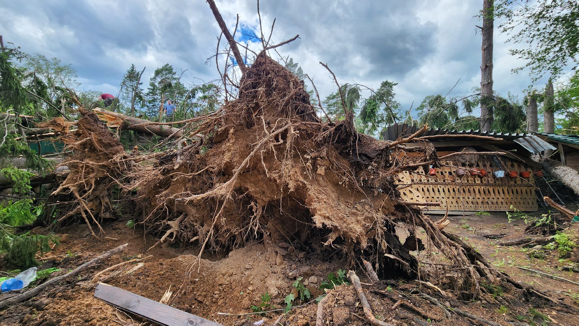 Солнечногорск, погода, стихия, ураган Эдгар,