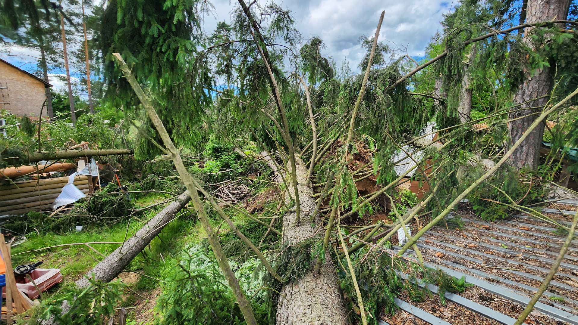 Солнечногорск, погода, стихия, ураган Эдгар,