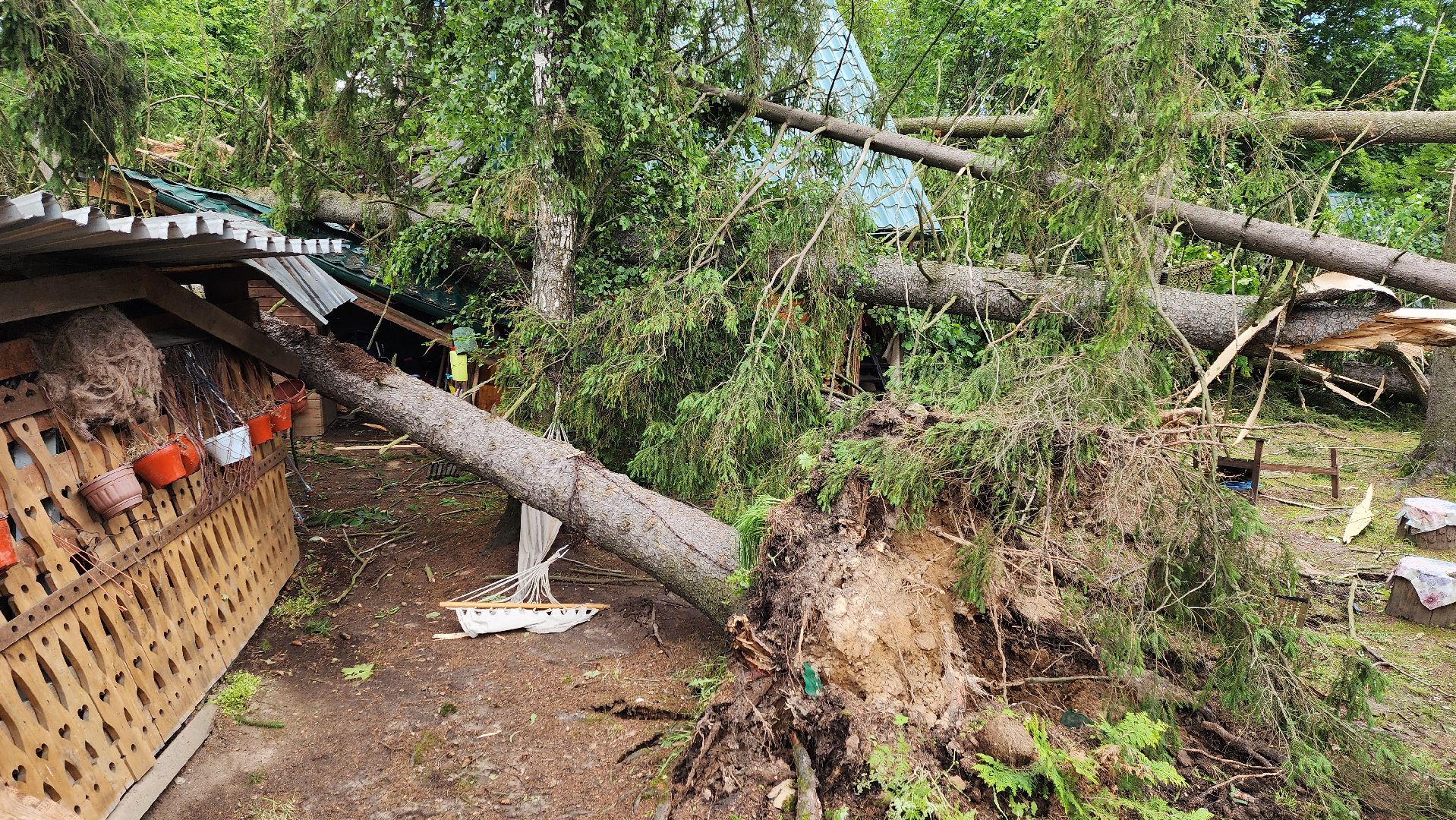 Солнечногорск, погода, стихия, ураган Эдгар,