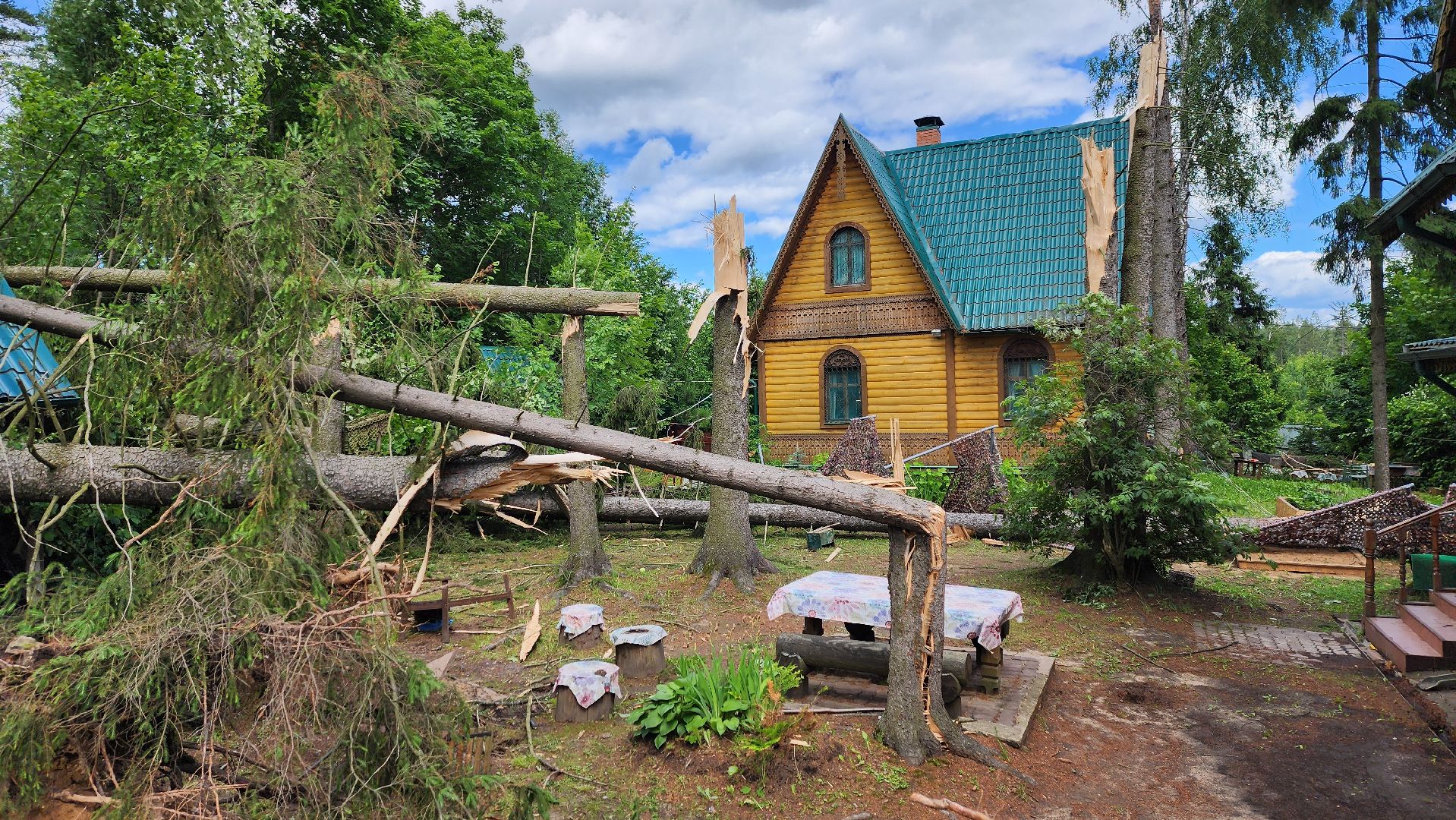 Солнечногорск, погода, стихия, ураган Эдгар,