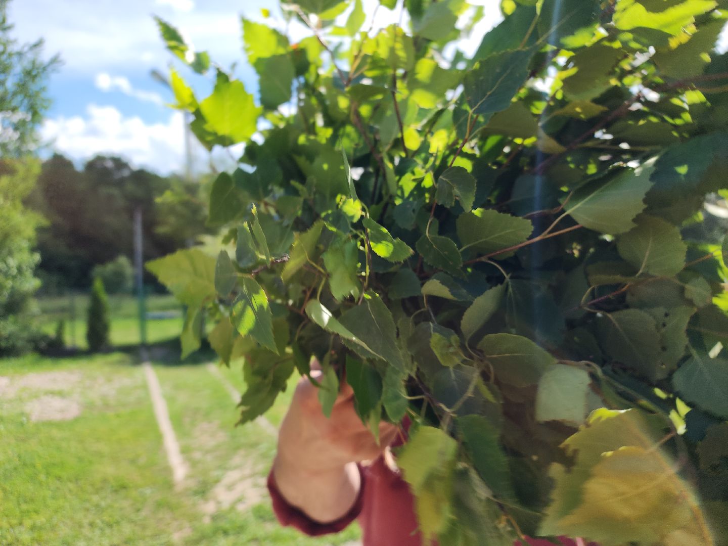 ступино, баня, хобби,