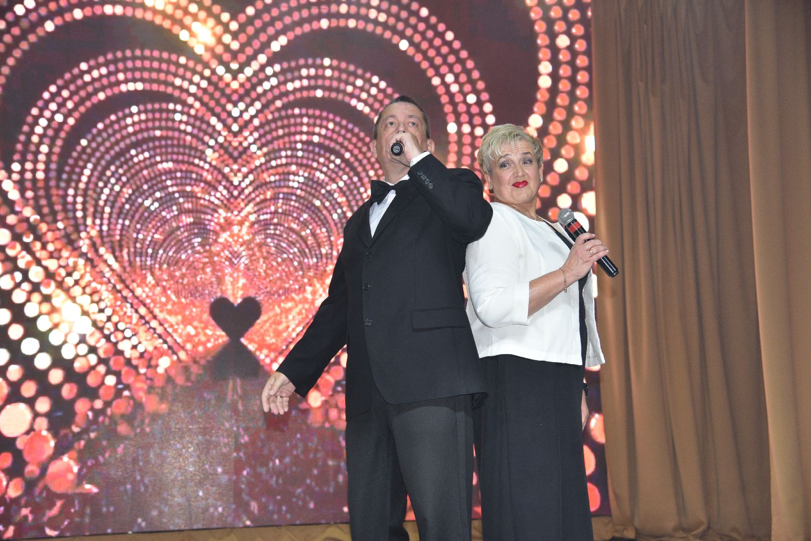 лотошино, лотошинский цдк, день медицинского работника, медицина, концерт,