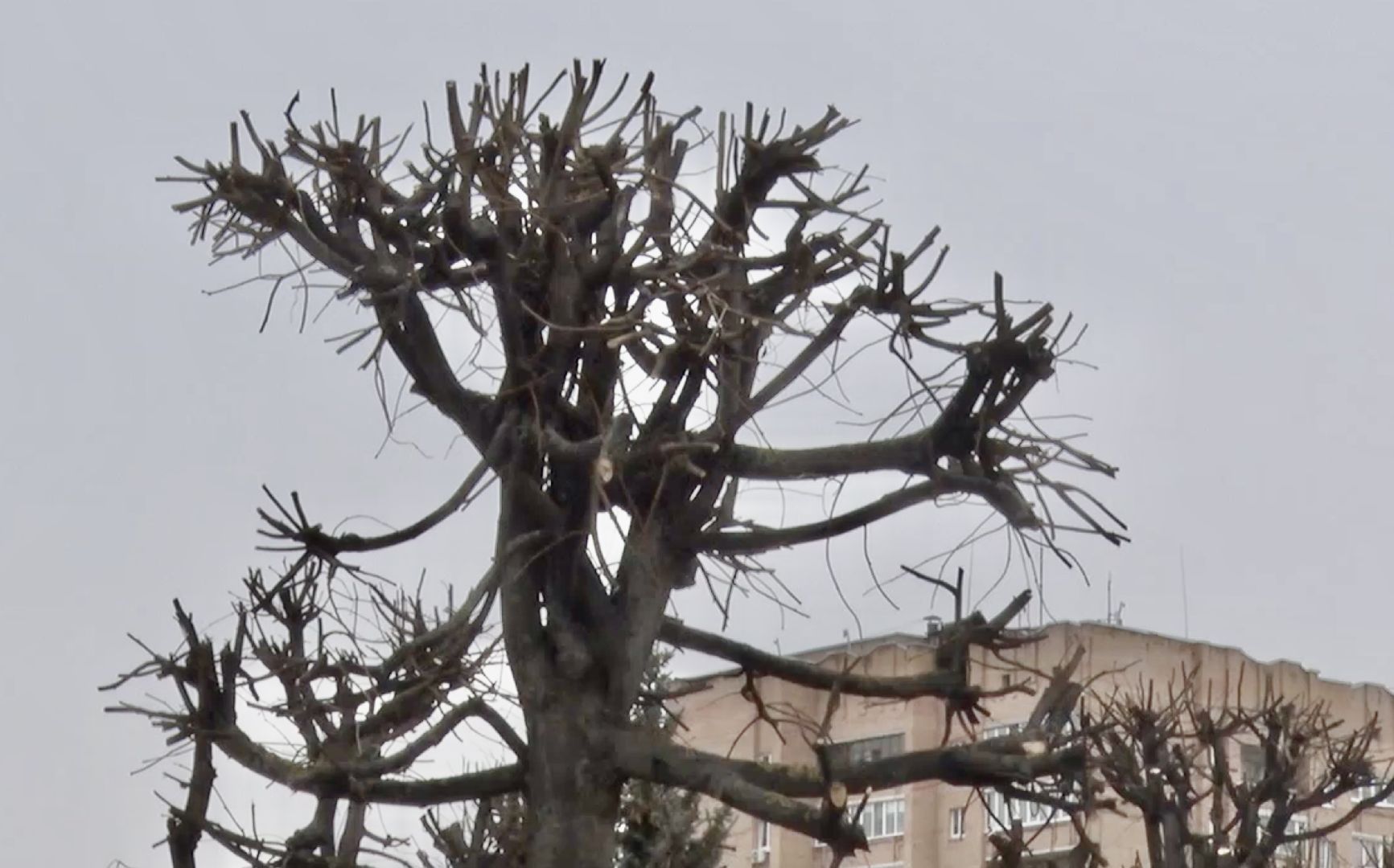 Клин, ЖКХ, уборка