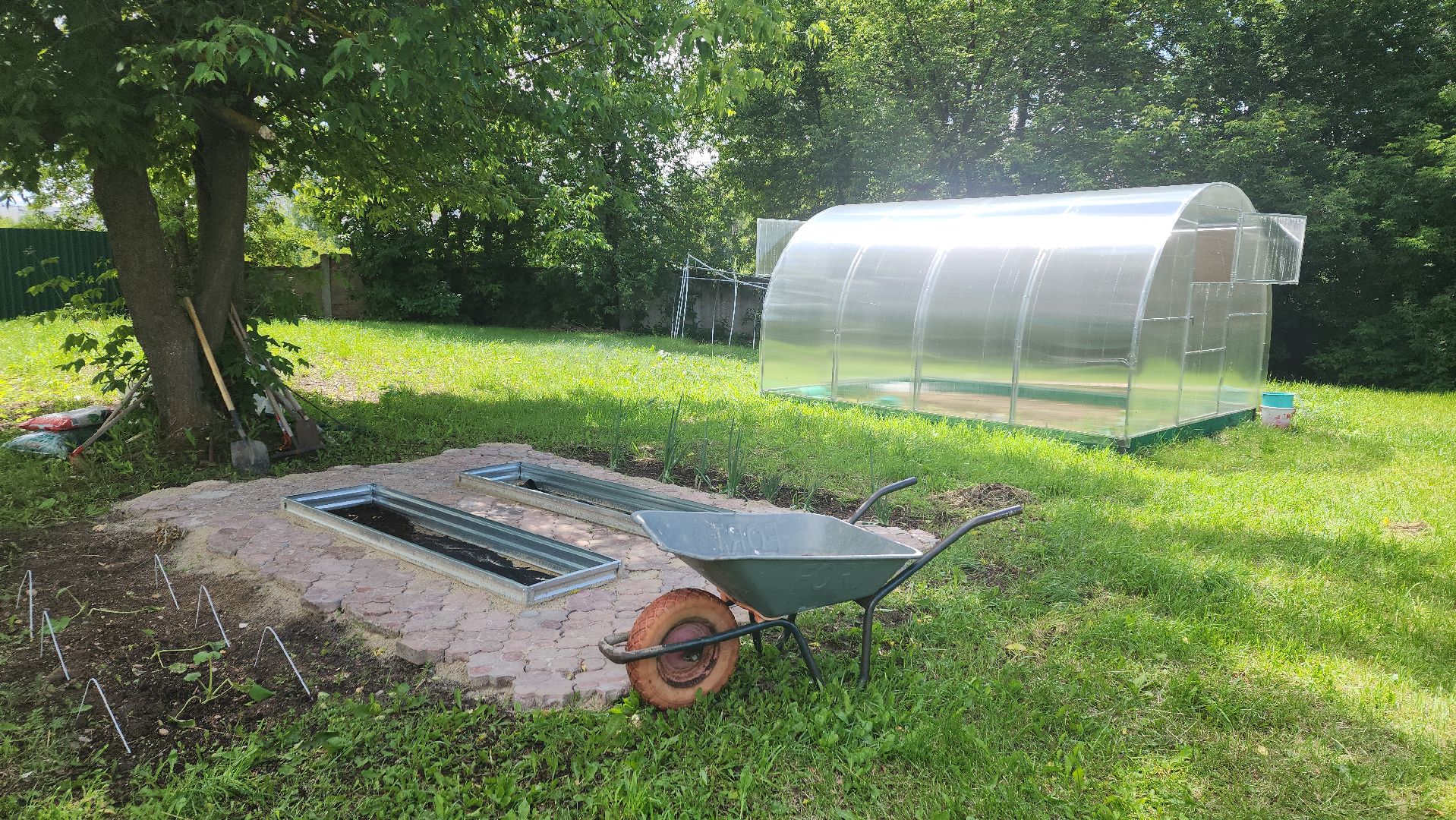 ивантеевка, теплица, центр социального обслуживания, социализация детей, социальная адаптация, овощи, растения,