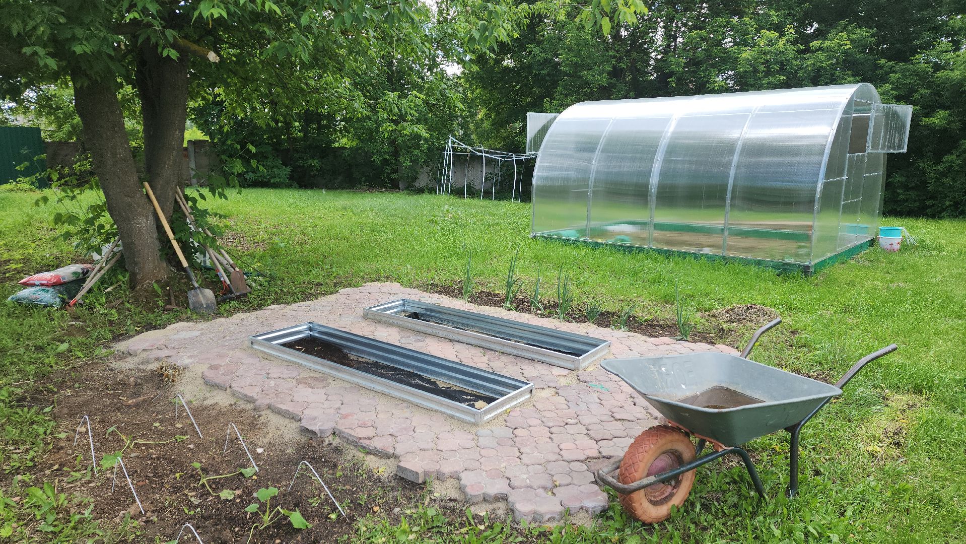 ивантеевка, теплица, центр социального обслуживания, социализация детей, социальная адаптация, овощи, растения,