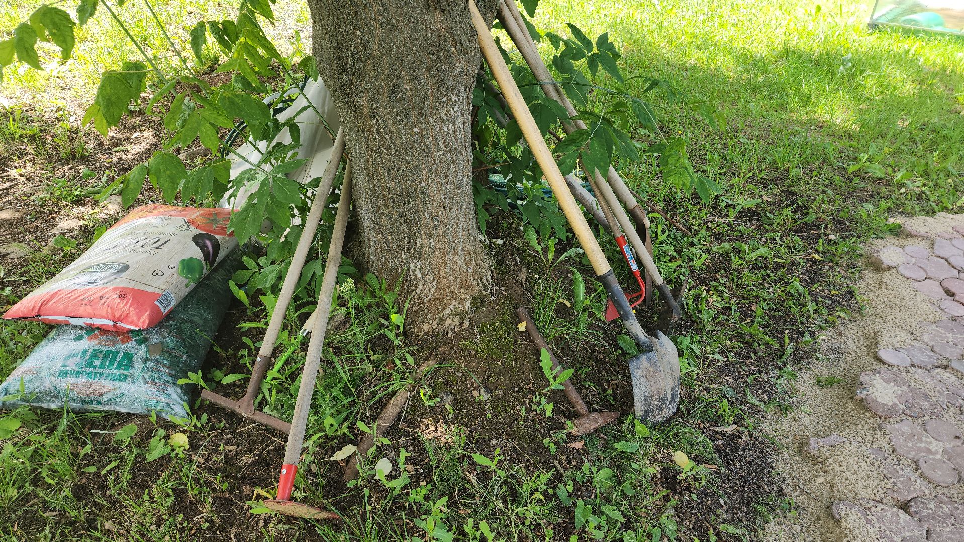 ивантеевка, теплица, центр социального обслуживания, социализация детей, социальная адаптация, овощи, растения,