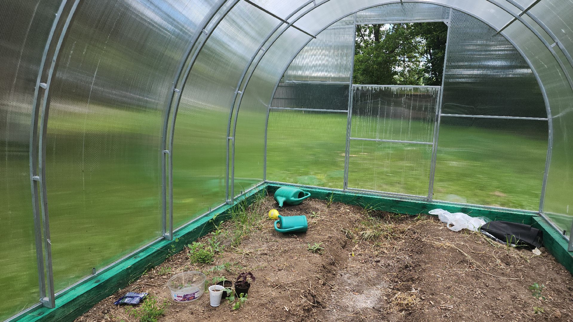 ивантеевка, теплица, центр социального обслуживания, социализация детей, социальная адаптация, овощи, растения,