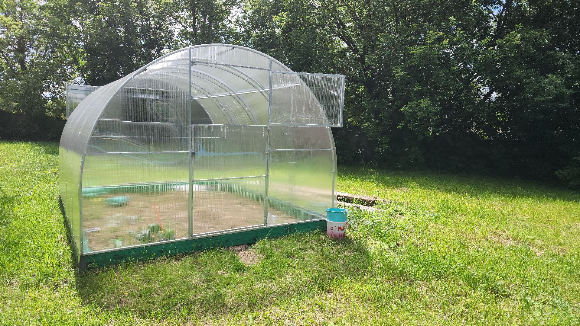 ивантеевка, теплица, центр социального обслуживания, социализация детей, социальная адаптация, овощи, растения,