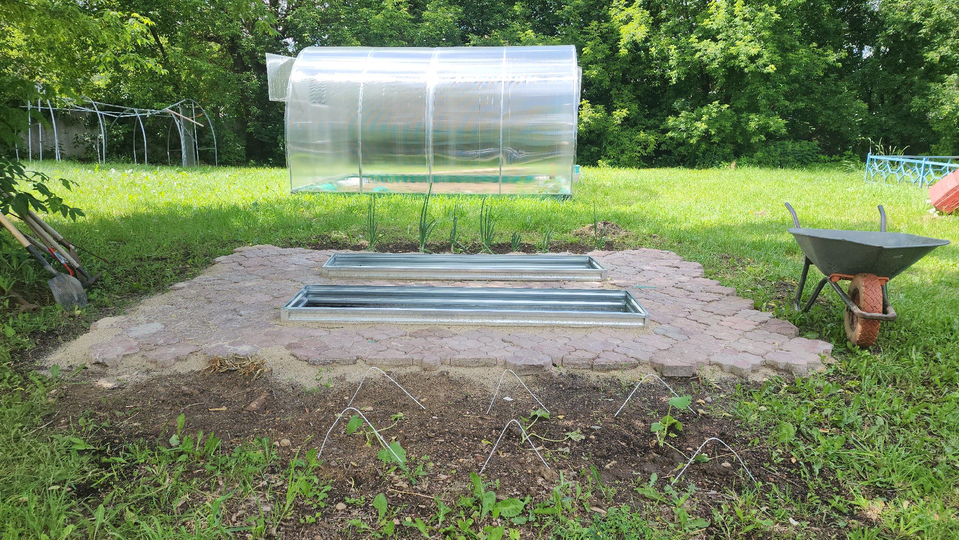 ивантеевка, теплица, центр социального обслуживания, социализация детей, социальная адаптация, овощи, растения,