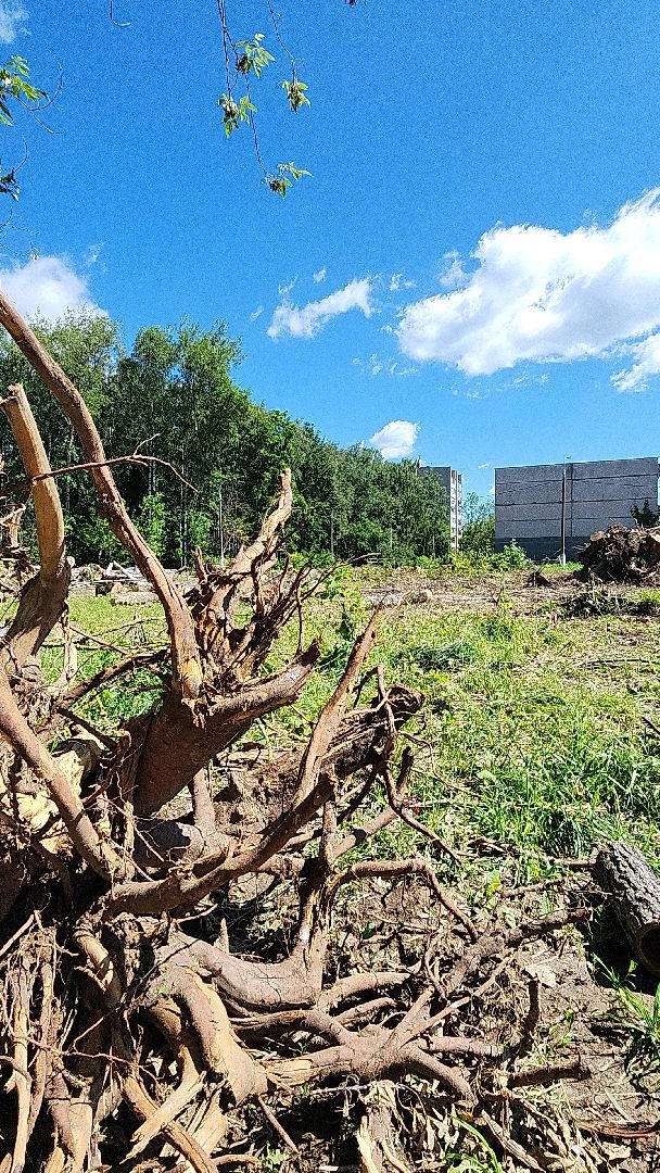 электросталь, образование, открытый стадион, благоустройство, школьный стадион, строительство, мой город,