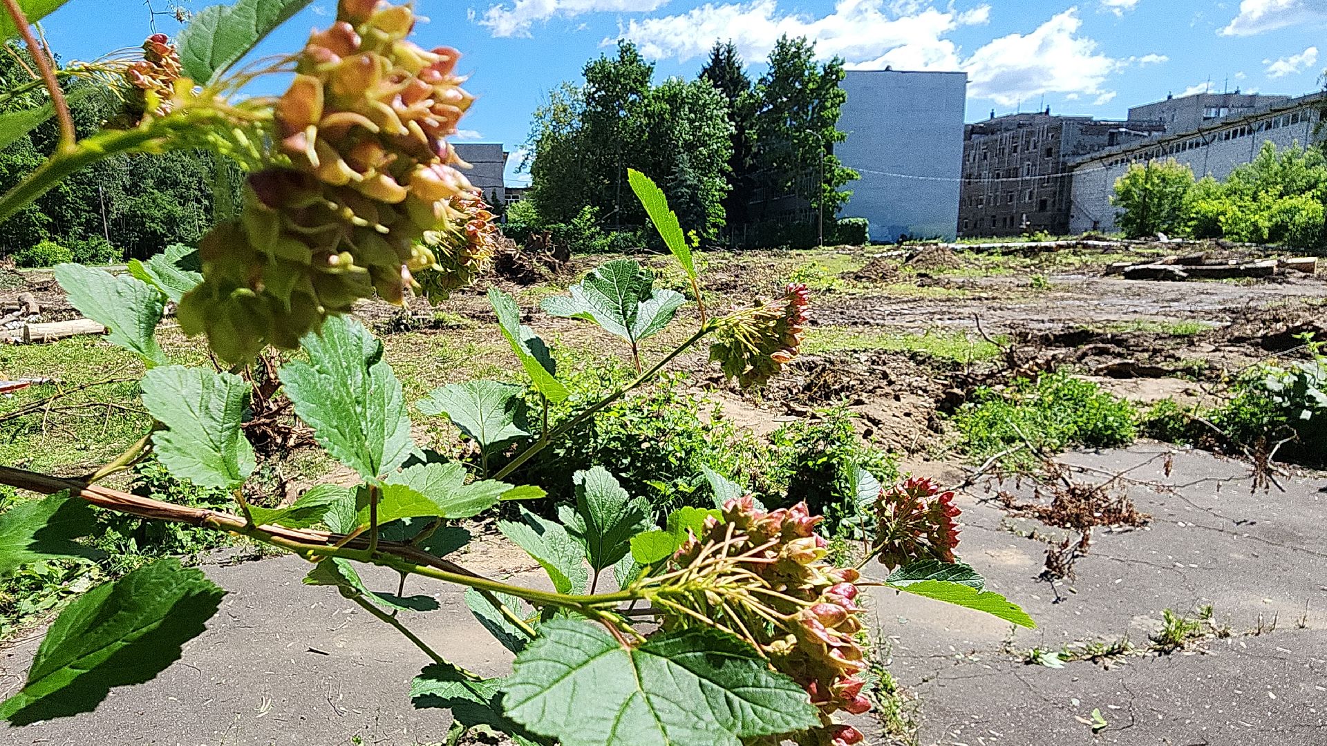 электросталь, образование, открытый стадион, благоустройство, школьный стадион, строительство, мой город,