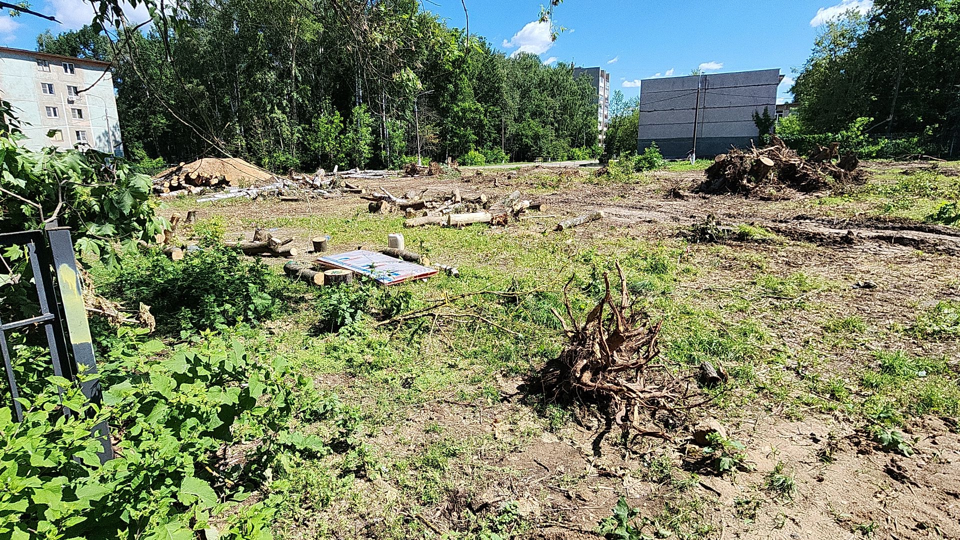 электросталь, образование, открытый стадион, благоустройство, школьный стадион, строительство, мой город,