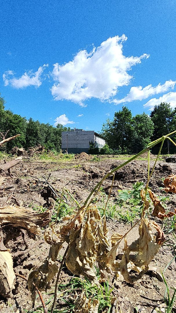 электросталь, образование, открытый стадион, благоустройство, школьный стадион, строительство, мой город,