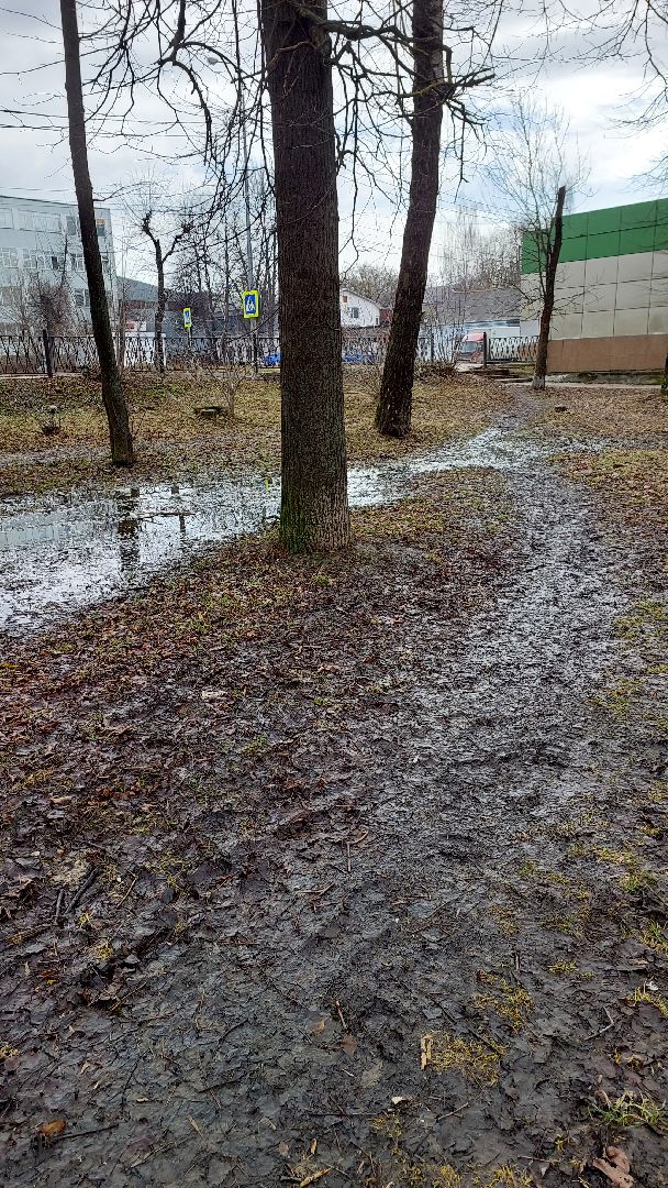 серпухов, сквер, благоустройство, среда обитания, тропинки