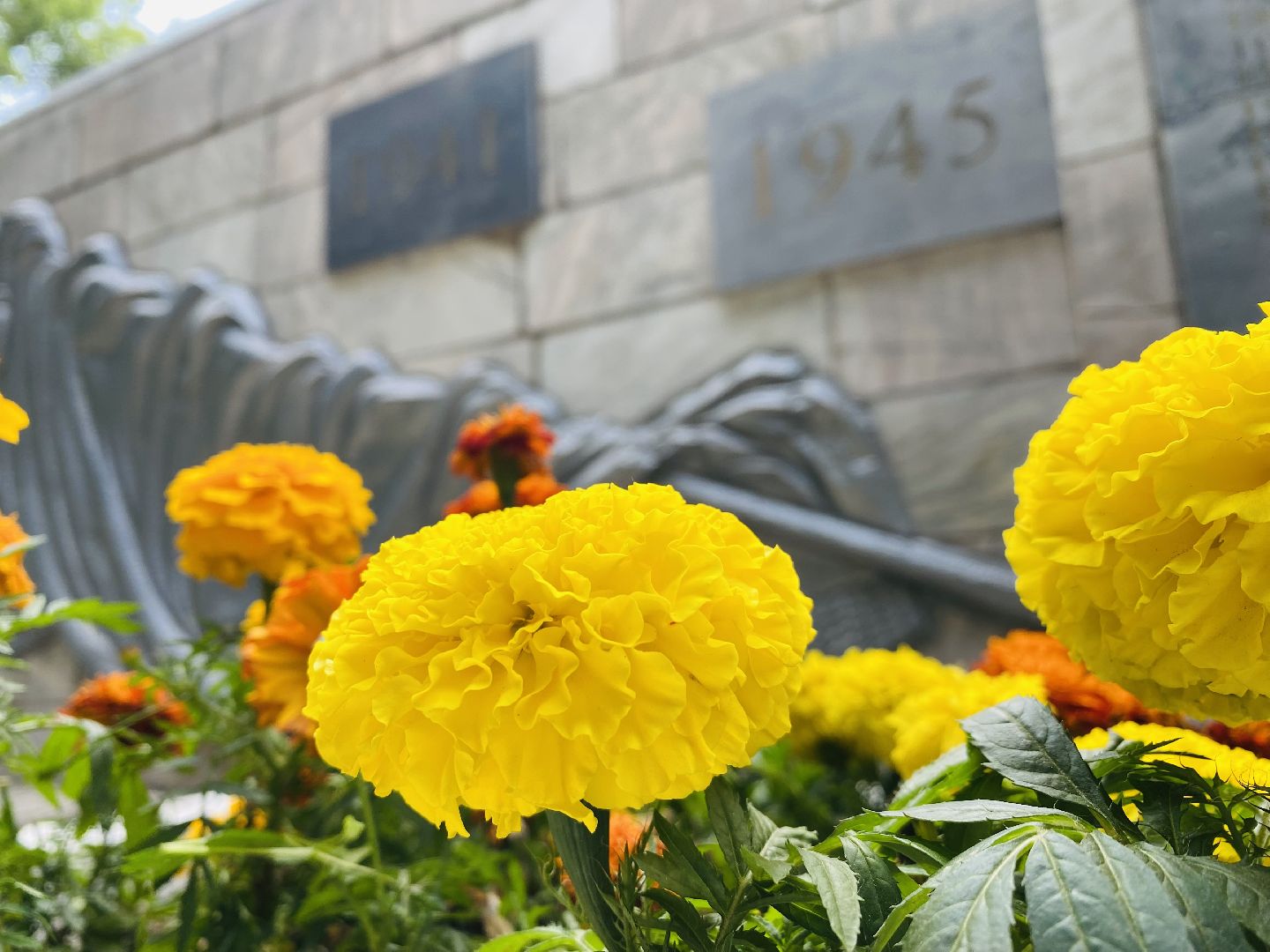 ЦВПВ, Домодедово, Подмосковье, георгиевская лента, День памяти и скорби, Митинг, возложение цветов,