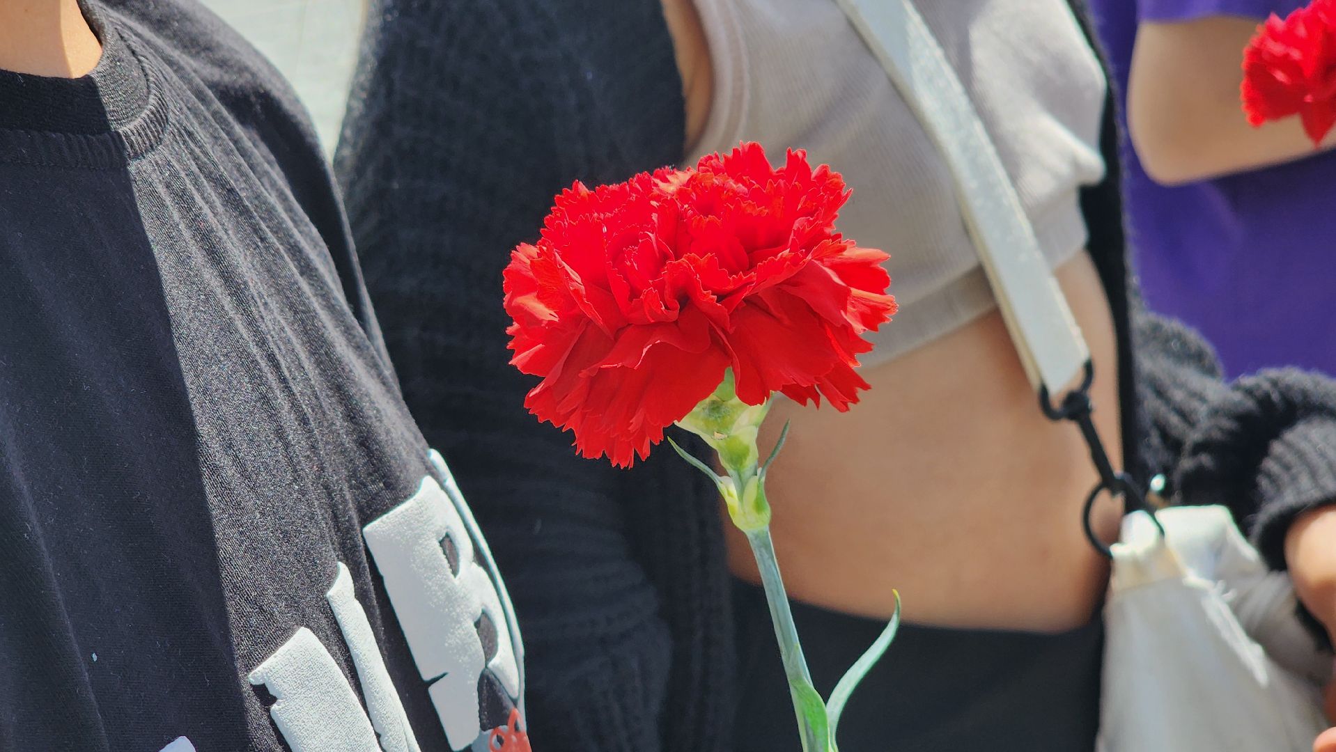 день памяти и скорби, Рошаль, рошаль помнит, 22 июня, Большая Шатура,