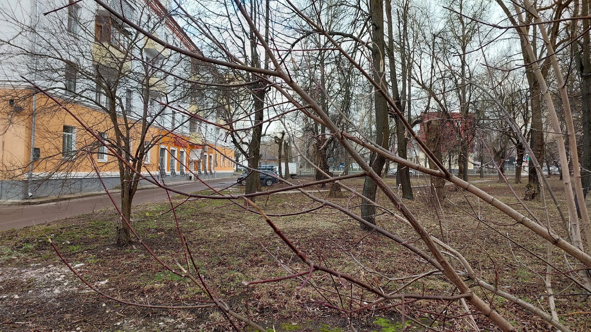 благоустройство, сквер, перемены, серпухов, тропинки