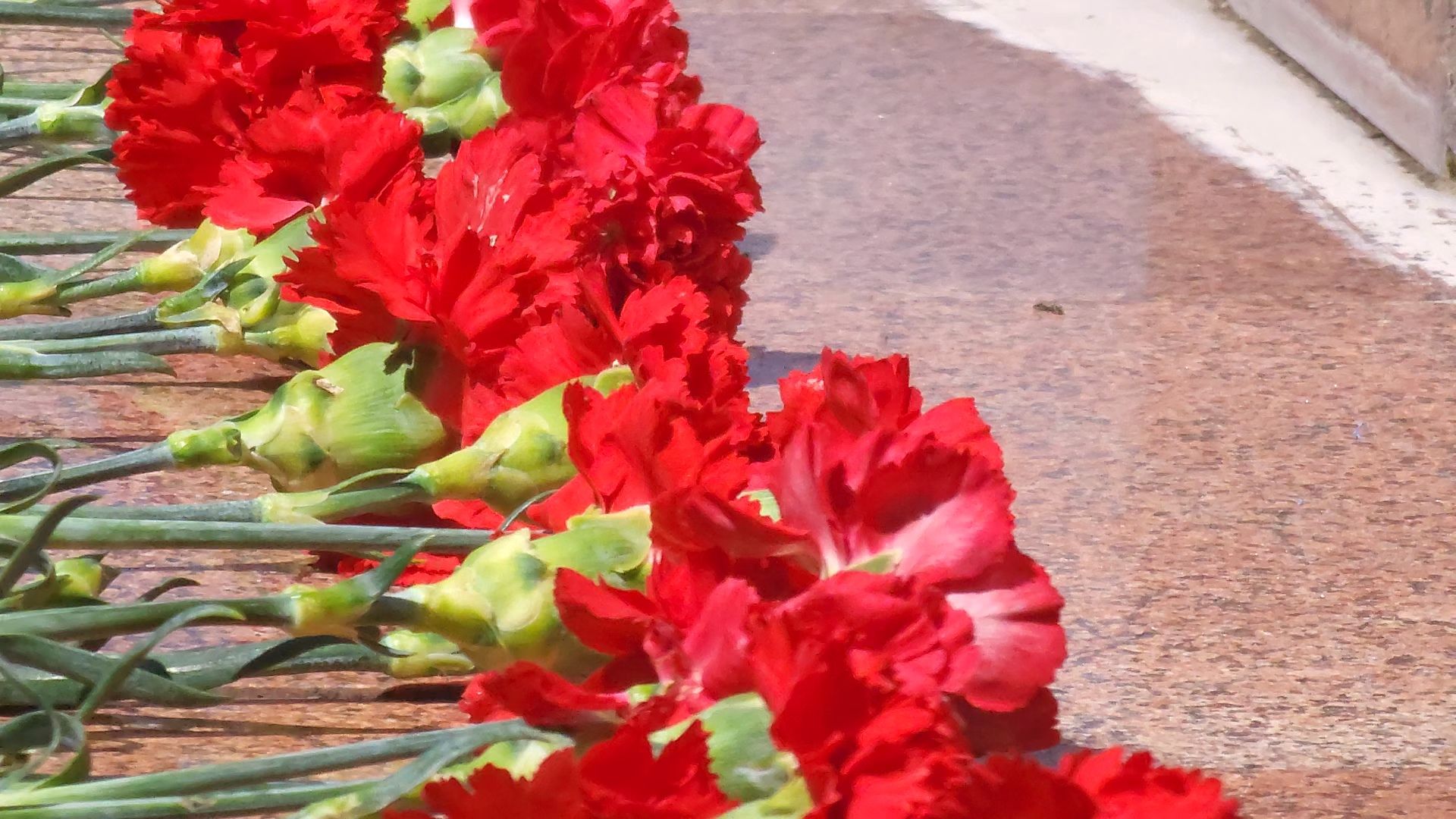 руза, цвт им. лиходея, реабилитация, сво, виталий писарев,