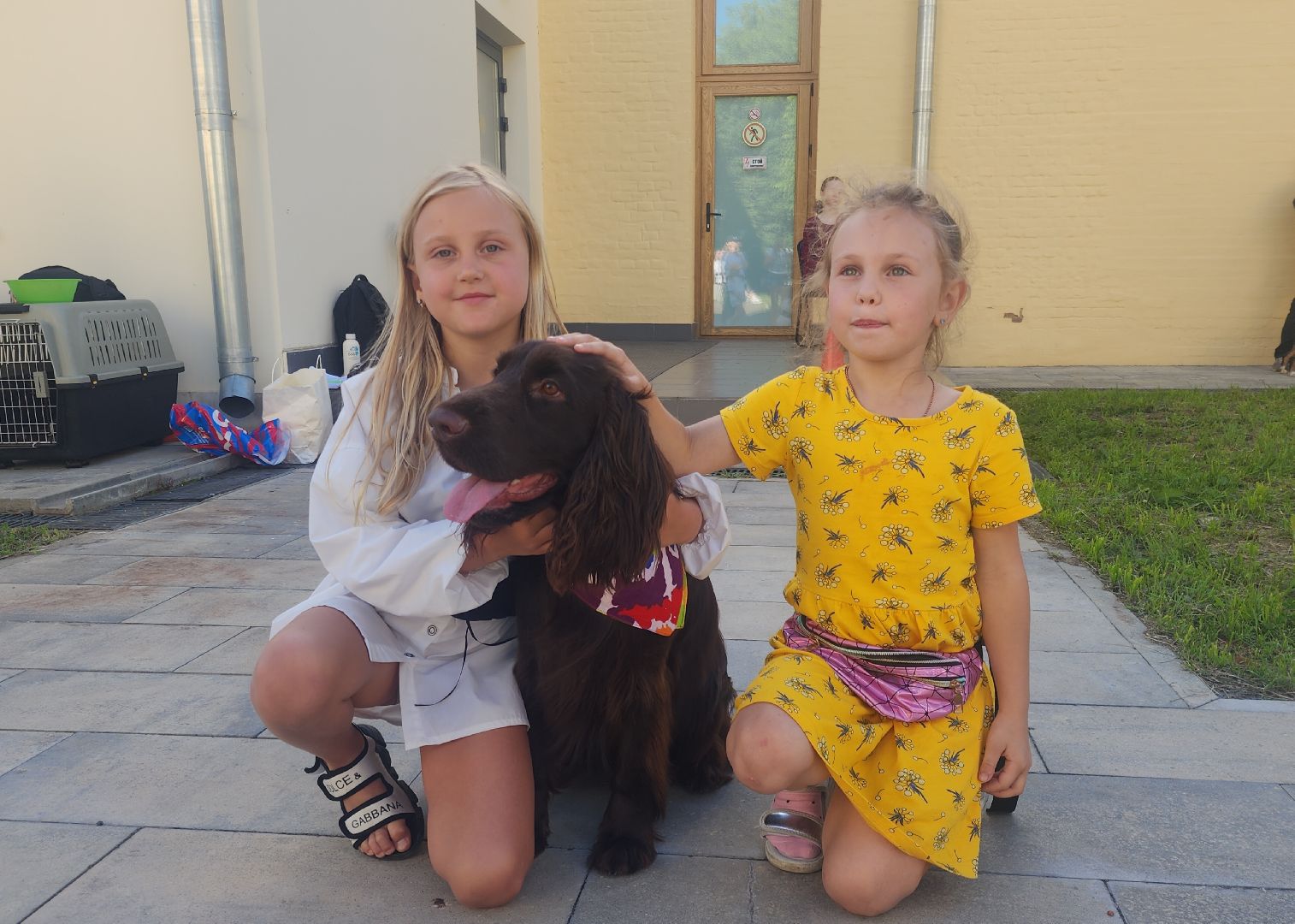 Звенигород, Общество,