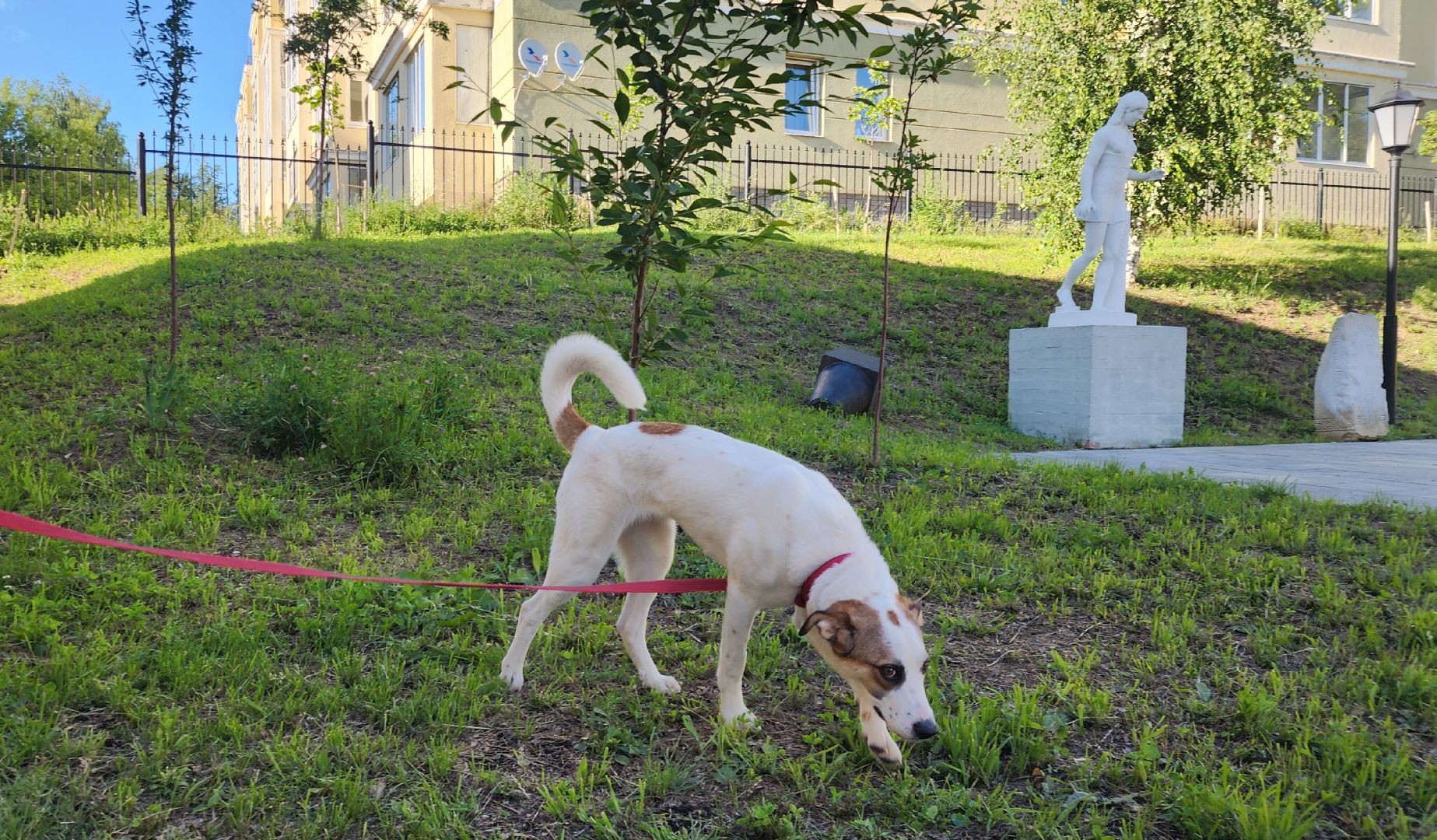 Звенигород, Общество,